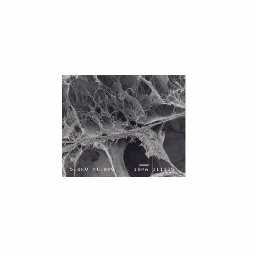 Curagen™ Collagen Wound Dressing Plug